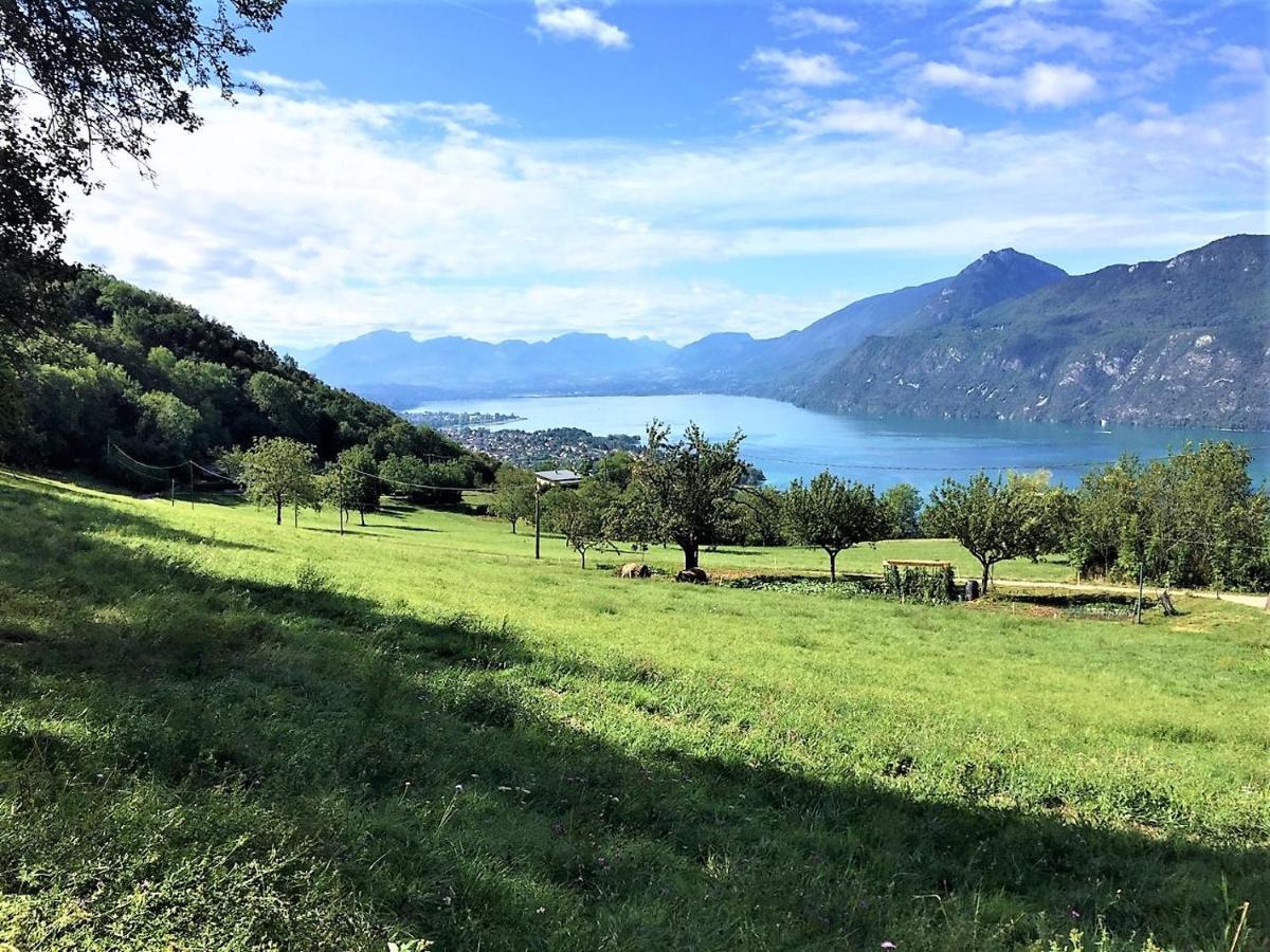 L'alpage, Vue